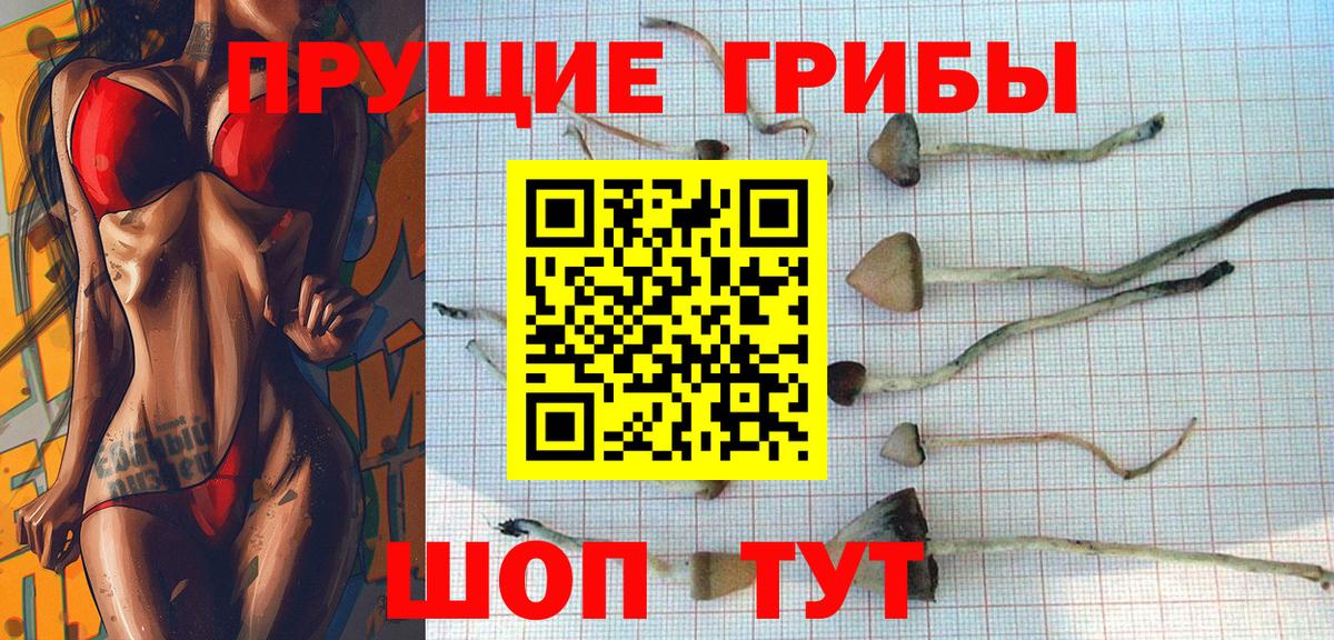 Галлюциногенные грибы прущие грибы  Галлюциногенные грибы ЛСД  Вход с VPN  Миллерово 